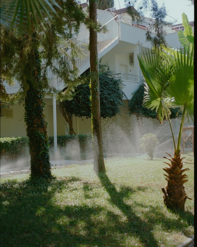 Watering Shrubs and Lawn